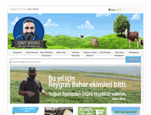 Tablet Screenshot of esrefsekerli.com